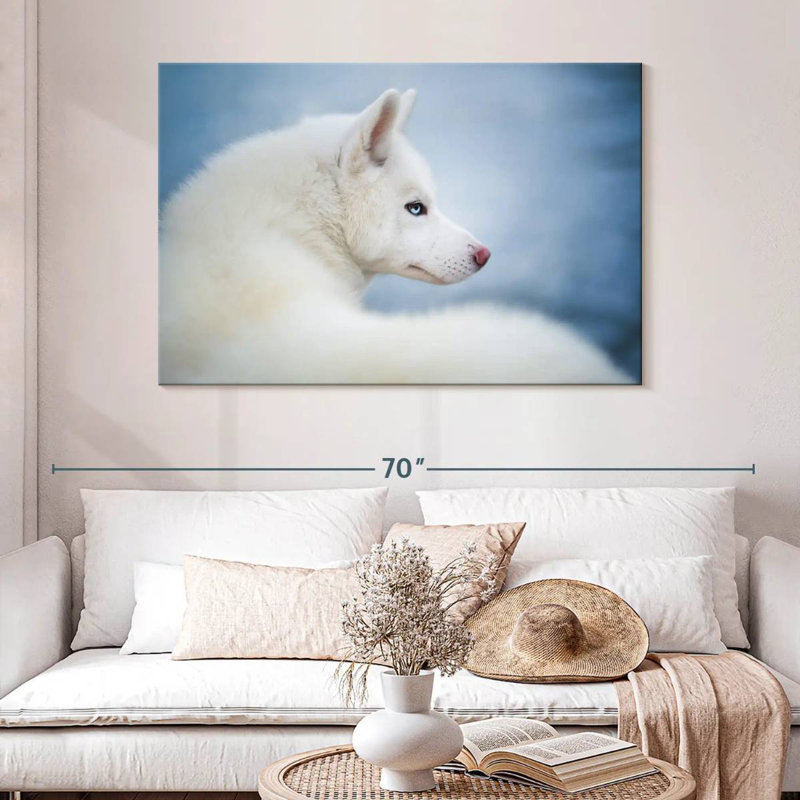 Husky blanc pur, H 32 po x l 48 po