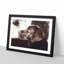 Chocolate Labrador Portrait - Picture Frame Graphic Art Print-56708575-56708576