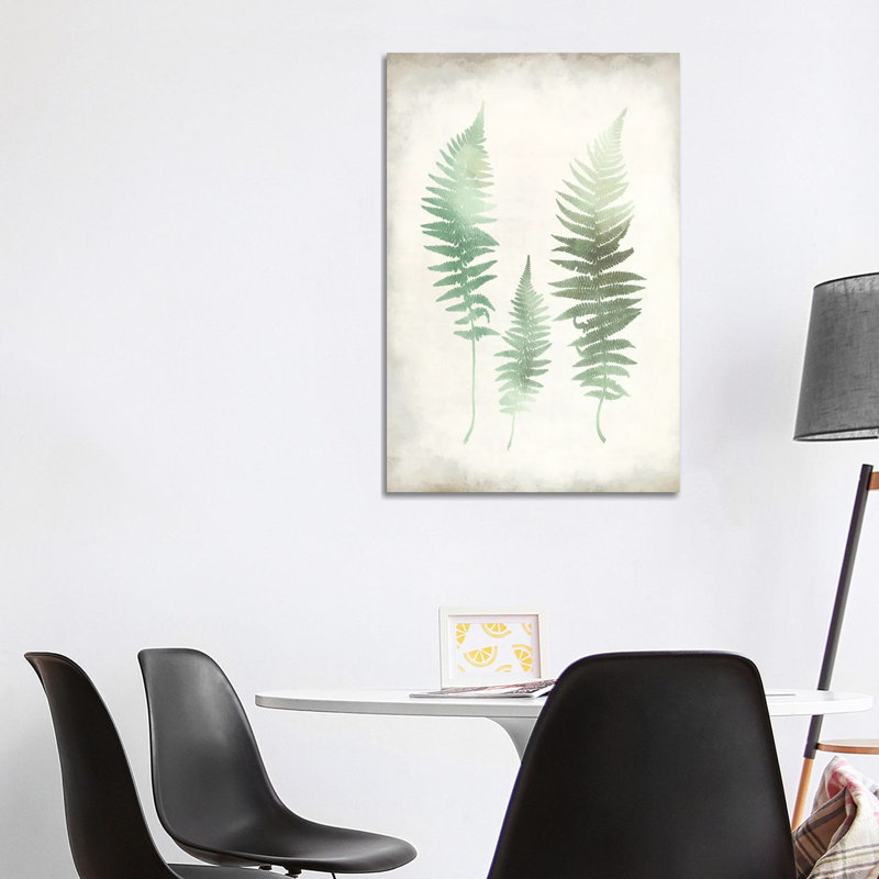 Watercolour Fern I Vintage by Kimberly Allen - Wrapped Canvas Print, 101.6 cm H x 66.04 cm W x 3.175 cm D