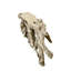 Console Teak Root