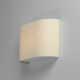 Tosha Single Light Steel Dimmable LED Flush Mounted Sconce