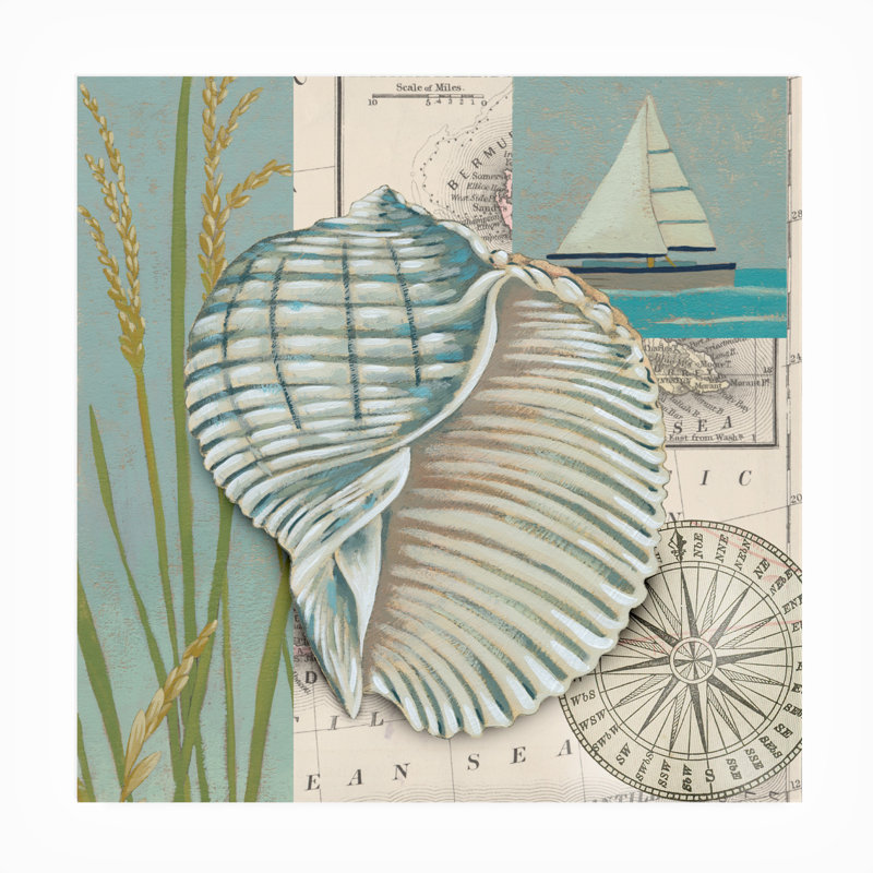 Toile d'extérieur Chariklia Zarris «Seaside Shell I», H 14 po x l 14 po x P 1,5 po