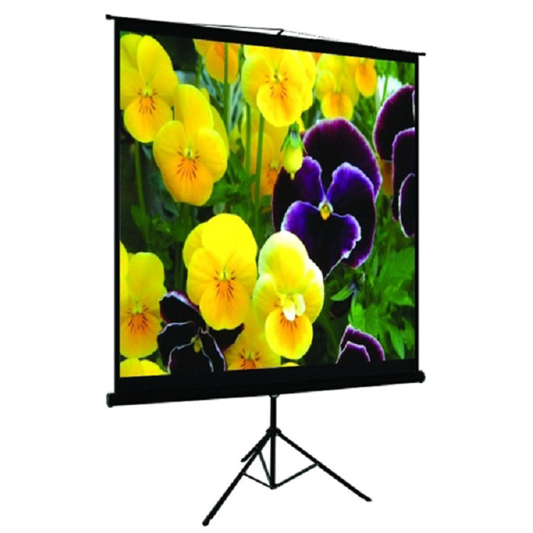 Symple Stuff Portable Projector Screen Projector Screen, 100" H x 100" W