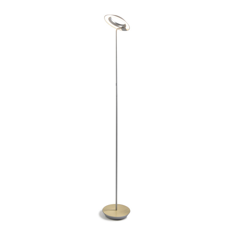 Royyo 45.5'' LED Novelty Floor Lamp, Silver/Brushed Brass