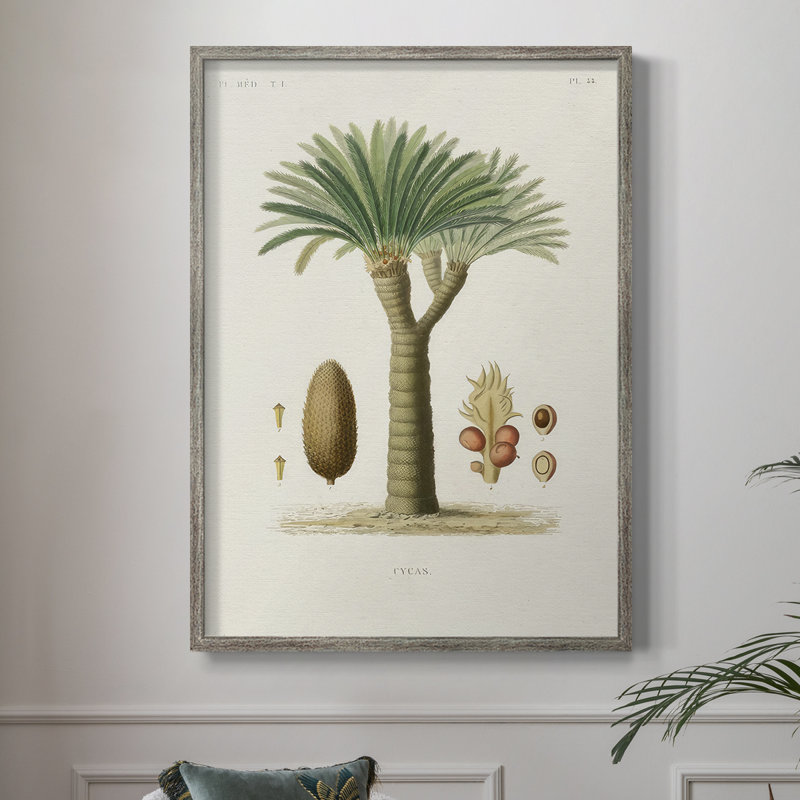 Arbre antique avec fruit, impression encadrée en V - bois massif, H 15 po x l 12 po