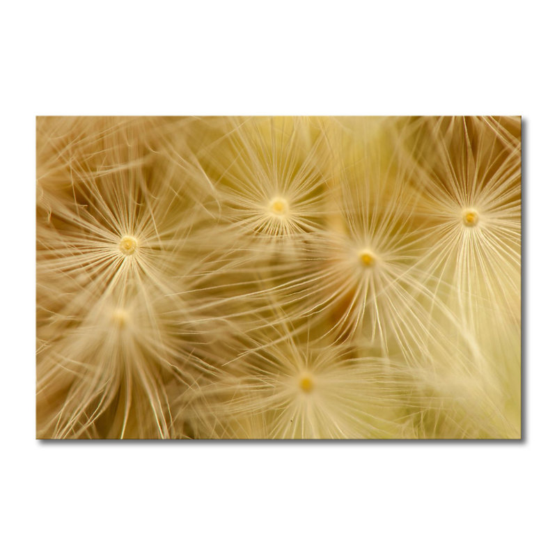 Wrapped Canvas Print, 80cm H x 120cm W x 2cm D