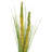 Botanical Solar Stake -Set/3