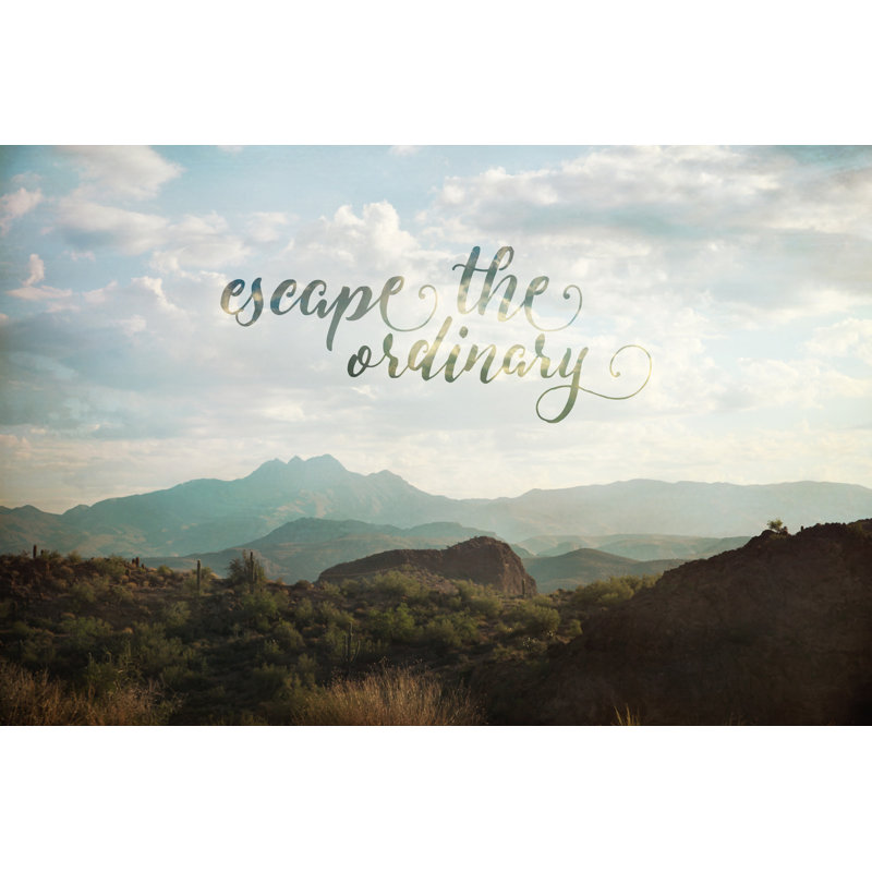 Sylvia Cook - Wrapped Canvas Print, 30 cm H x 45 cm W x 3.81 cm D