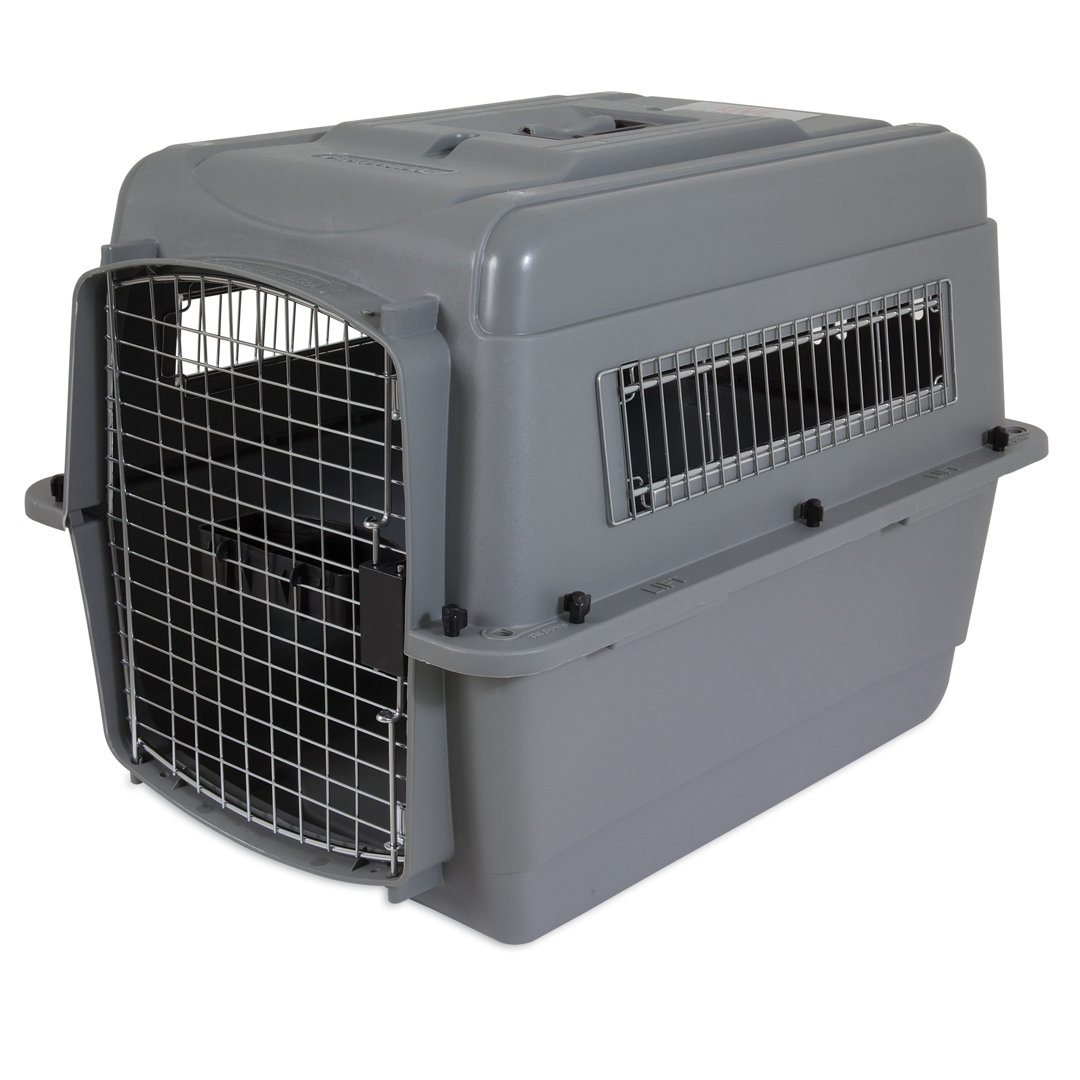 Sky Plastic Pet Carrier with 1 Door Petmate