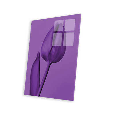 " One Tulip In Purple " by Beli