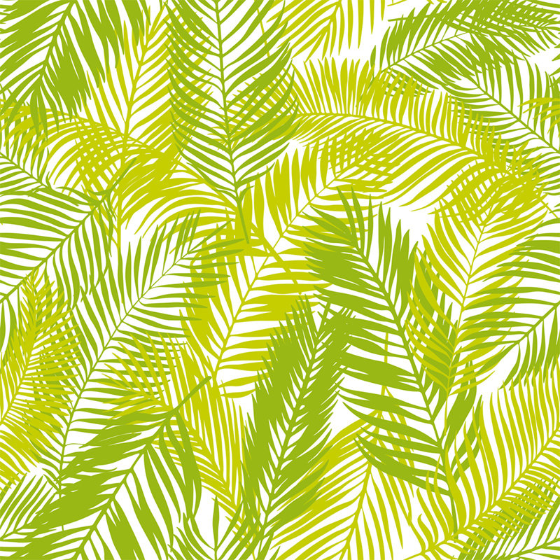 Ilex Matte Roll, 152 x 104cm