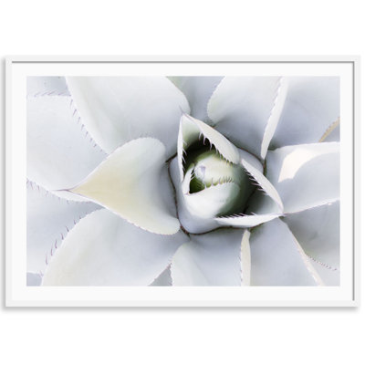 Succulent Print by Carly Tabak