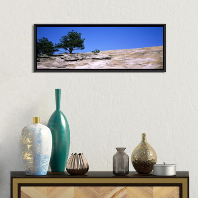 Arbres panoramiques sur une montagne, pierre de pierre, atlanta, fulton county, géorgie, reproduction de photo sur toile tendue