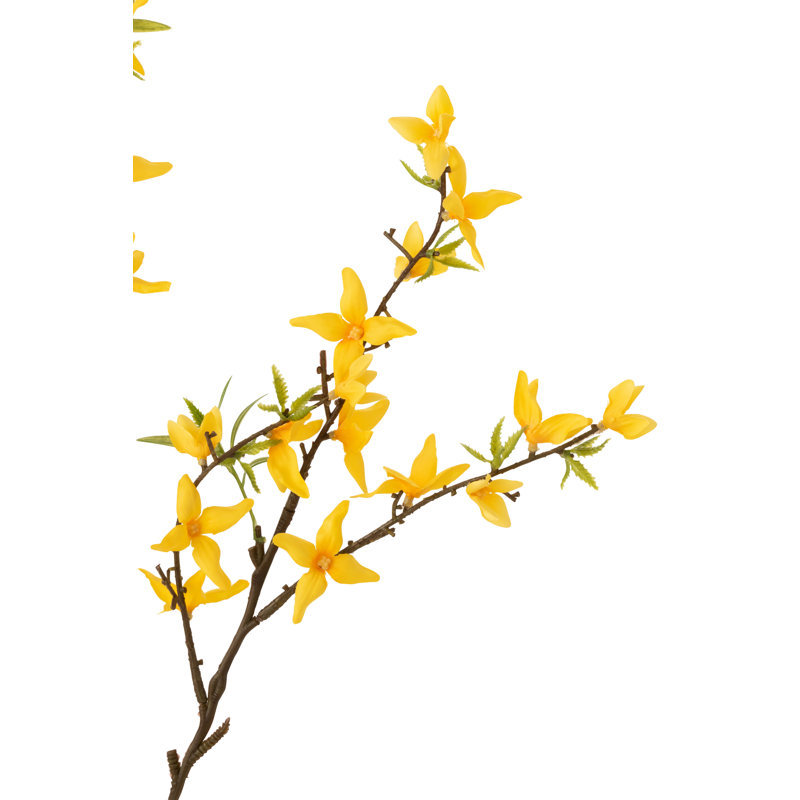 Forsythia Arrangement
