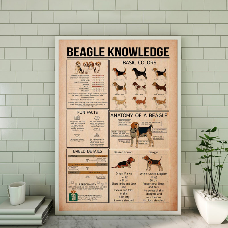 Toile tendue avec châssis Beagle, H 20 po x l 16 po x P 2 po