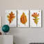 Autumn Leaf Study II - Ensemble de 3 peintures sur toile tendue-1178369220