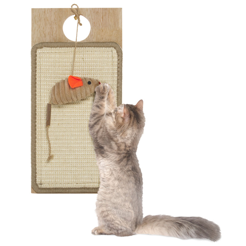 Cat Scratch Toy