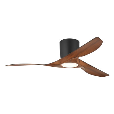 Ventilateur de plafond 52 po avec lumières DEL Frankhouse