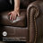 Colleton 67'' Upholstered Loveseat