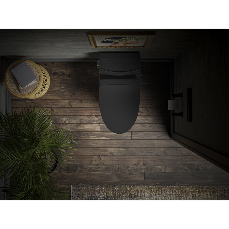 Veil™ One-Piece Elongated Dual-Flush Toilet with Skirted Trapway and Concealed Cords, Matte Black