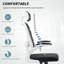 Karola Mesh Office Chair with Headrest-660255840