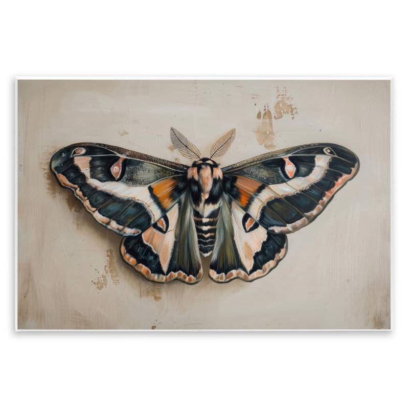 Art mural, impression de papillon de nuit foncé par Petal Prints Design, H 13 po x l 19 po