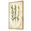 Brins de romarin sauvage - Décoration murale encadrée d'herbes aromatiques-820245008-820245023