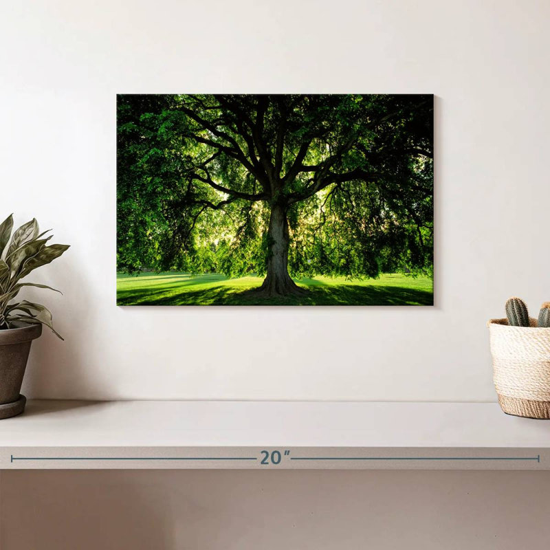 Arbre Harnek, H 8 po x l 12 po