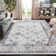 Amareona Oriental Area Rug