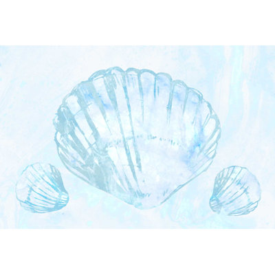 Capiz Shells