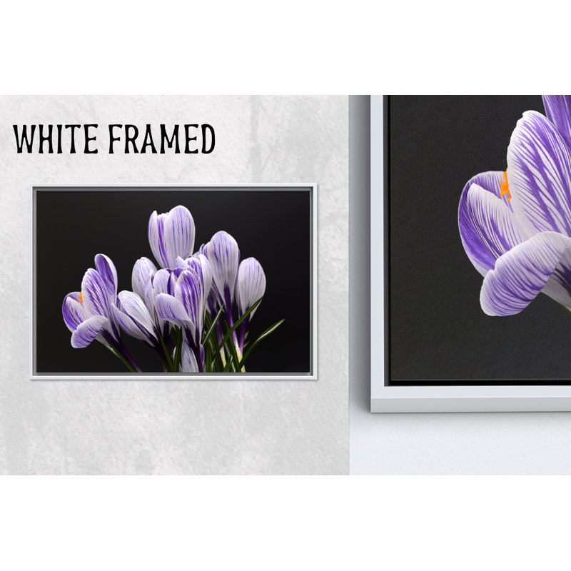 Élégante toile mauve à imprimé fleur de crocus - art décoratif botanique, 1P, 23,7 po H x 31,6 po l