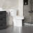 4.8 LPF 1.28 GPF Siphonic Two-Piece Toilet