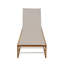 MIA CHAISE LOUNGE (Set Of 2)-321404142-321404145