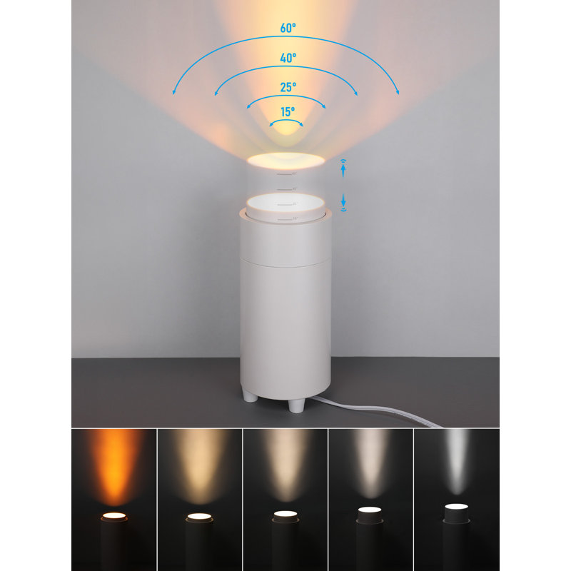 5CCT Indoor Spotlight, Uplighting Indoor Floor Can Light for Plant Picture, Zoomable Floor Spot Lights with Auto ON/Off Switch