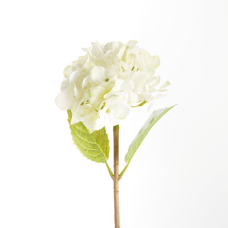 TIGES HYDRANGEA 18 po, ENSEMBLE DE 6, Blanc