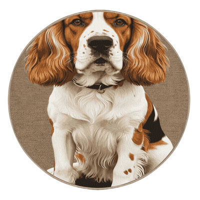  Tapis lavable pour chiens Brittany