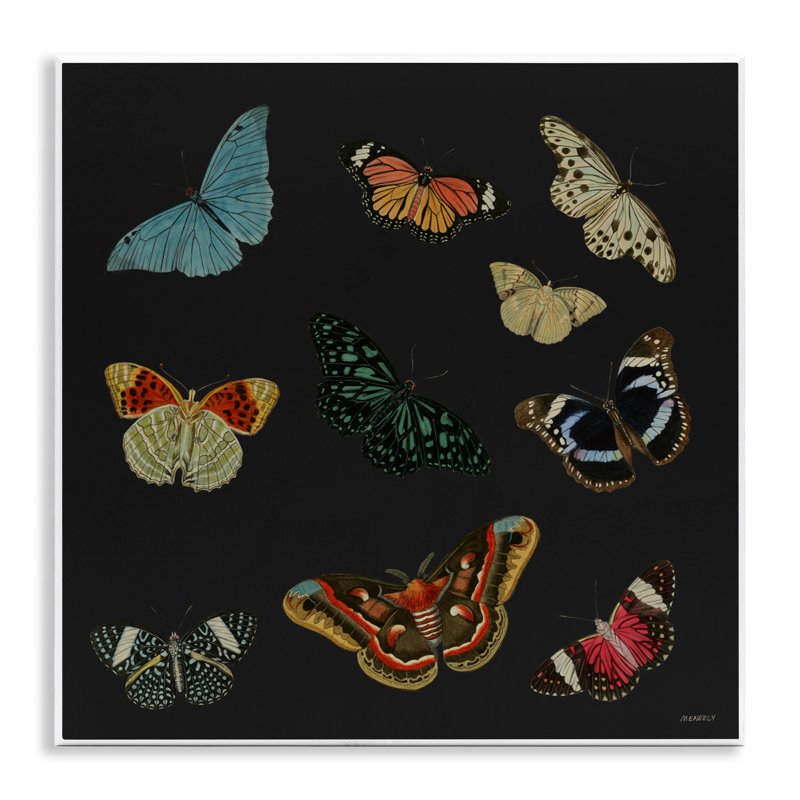 Insectes sur plaque murale noire, design par Dan Meneely