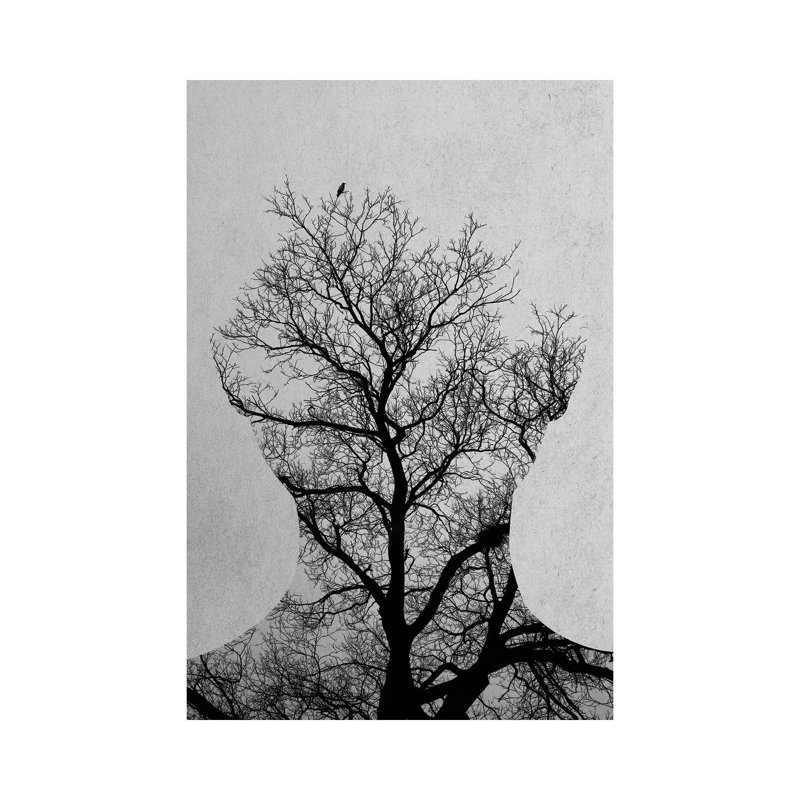 Tree Of Life by Andreas Lie - Print on Canvas, 30.48 cm H x 45.72 cm W, Wrapped Canvas