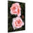 " Ethereal Roses I "