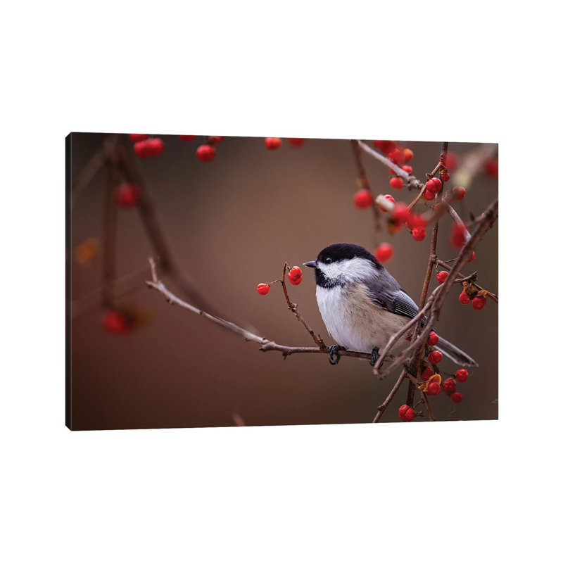 Chickadee Red Berries by Karen Burke - Wrapped Canvas Print, 45.72cm H x 66.04cm W x 1.9cm D