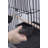 Large Top Starter Bird Kit