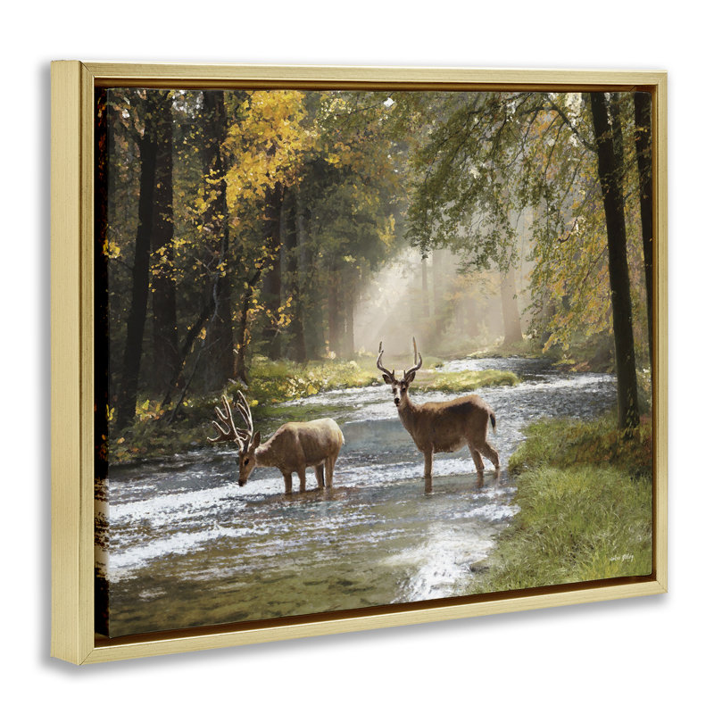 Art mural encadré, "Deer" par Amber Sterling, Cadre flottant métallique doré, H 17 po x l 21 po