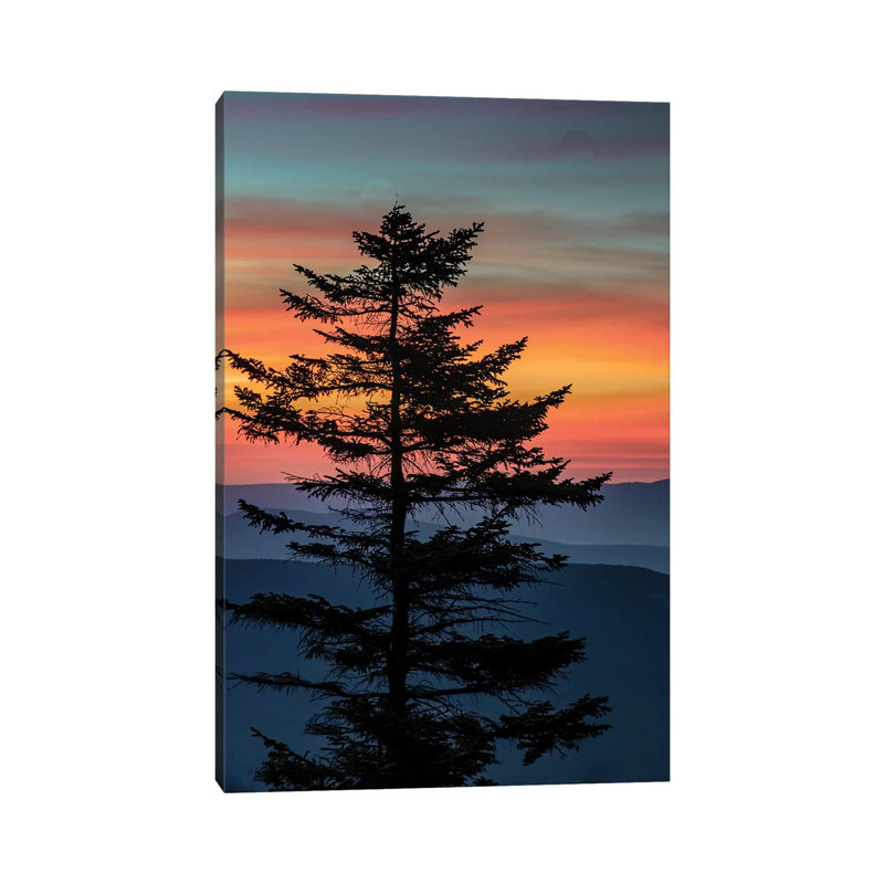 " USA, West Virginia, Blackwater Falls State Park. Tree And Landscape At Sunset " by Jaynes Gallery, 18" H x 12" W x 1.5" D