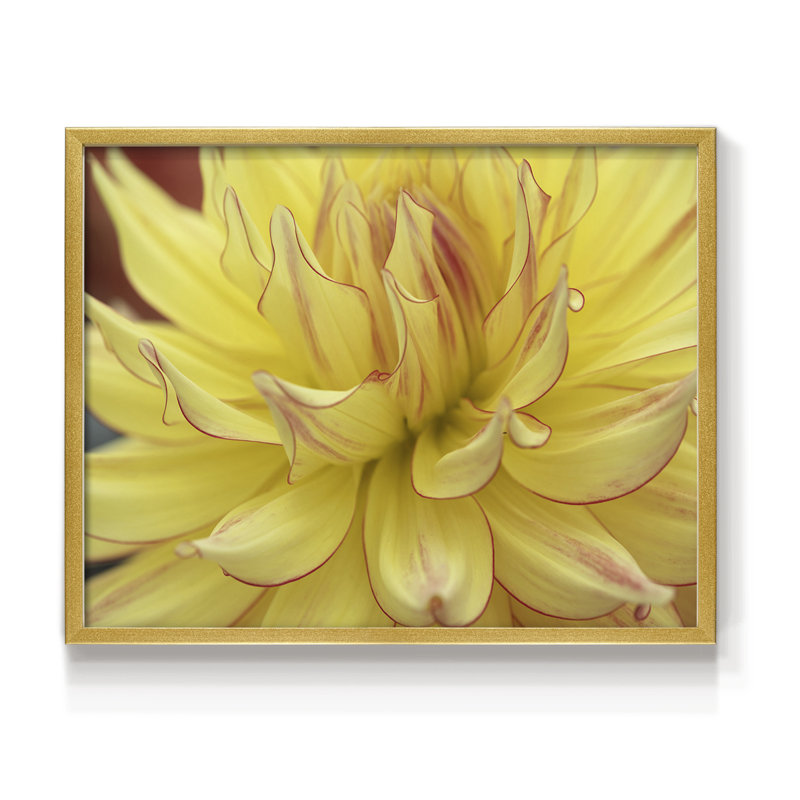 Blooms I -Framed Print - Restickable