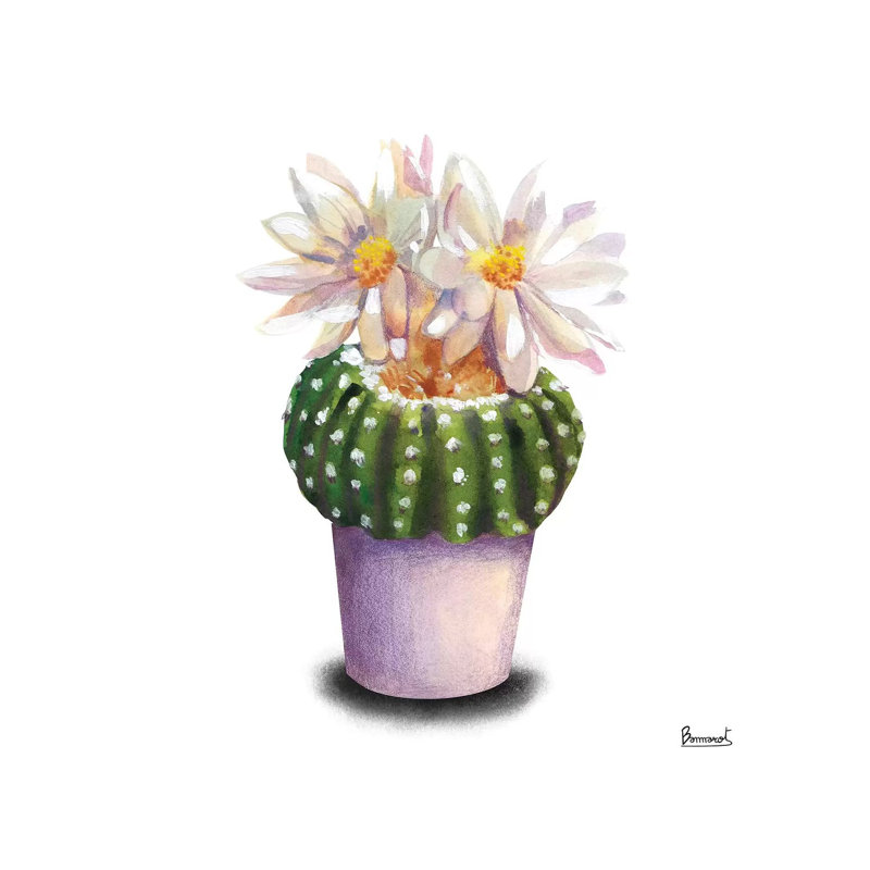 Cactus Flowers IX by Bannarot - Wrapped Canvas Gallery-Wrapped Canvas Giclée, 30.48 cm H x 30.48 cm W