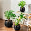 TYHPOT Ceramic Pot Planter-141006039