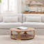 Emil Solid Wood Floor Shelf Coffee Table with Storage