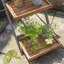  1 Piece Wood Vertical Garden-2135162695