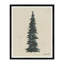 Spruce Print