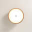 Flush Mount-1619339332